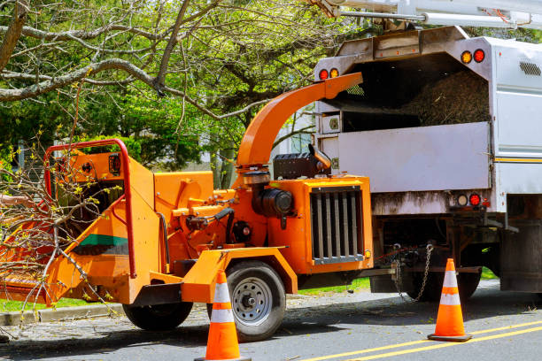 Best Tree Risk Assessment  in Heron Bay, GA