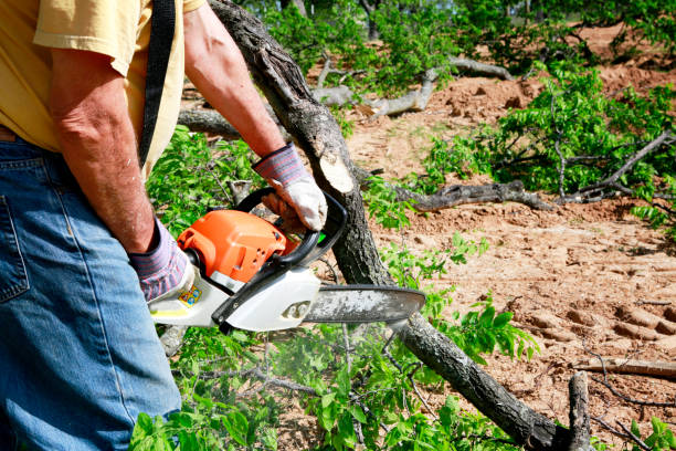 Best Hazardous Tree Removal  in Heron Bay, GA